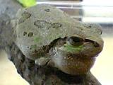img20050531_3.jpg