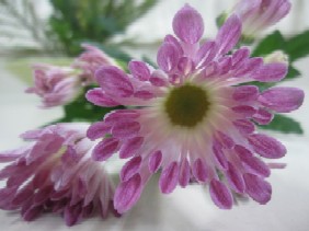 img_0567.jpg