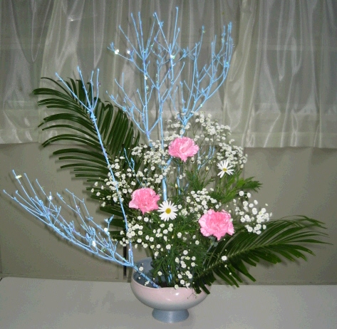 cap0214.jpg
