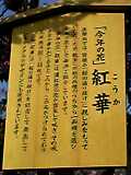 img20050606_1.jpg