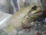 img20050120_1.jpg