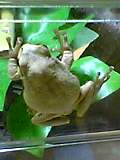 img20050610_1.jpg