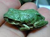 img20051116.jpg