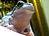 img20050327_3.jpg
