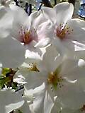 img20050528_1.jpg