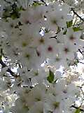 img20050528_2.jpg