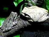 img20050601.jpg