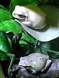 img20050216.jpg