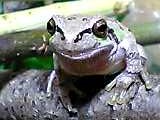 img20050601_3.jpg