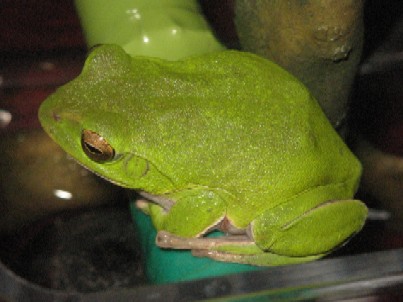 img_9748.jpg