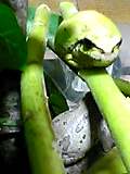 img20050414_1.jpg