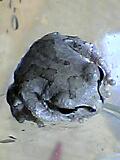 img20050603.jpg