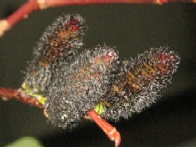 img_6074.jpg
