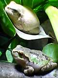 img20050215_1.jpg