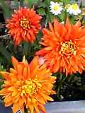 img20050111.jpg