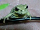 img20050219_2.jpg