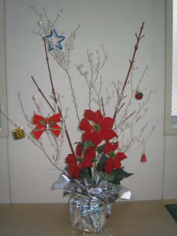 IMG_7634.jpg