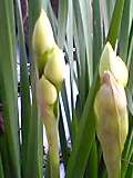 img20050311.jpg
