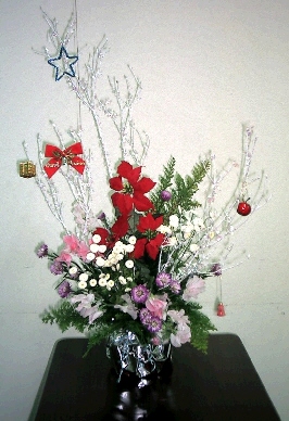 cap0047.jpg