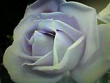 img20050224.jpg