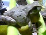 img20050415_2.jpg