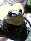 img20050601_4.jpg
