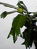 img20050112.jpg