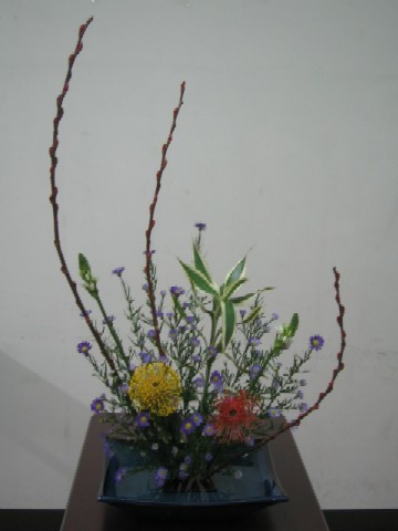 IMG_6435.jpg