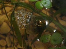IMG_6783.jpg