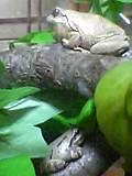 img20050112.jpg