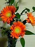 img20050321_4.jpg