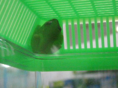 img20051217_2.jpg
