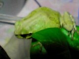 img20050428_4.jpg
