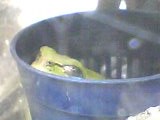 img20050423.jpg