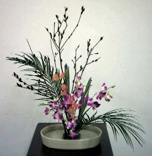 cap0091.jpg