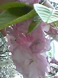 img20050606.jpg
