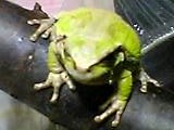 img20050425_2.jpg