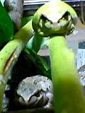 img20050414.jpg