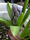 img20050325_1.jpg
