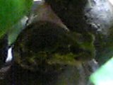 img20050611.jpg