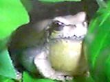 img20050222_2.jpg