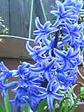 img20050428.jpg