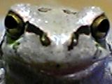 img20050413_2.jpg