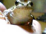 img20050610_2.jpg