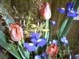 04_12_19_15_34.jpg