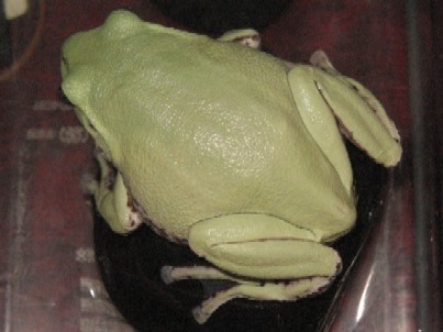 img_5727.jpg