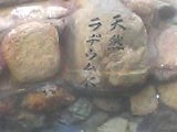 img20050317_2.jpg