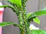 img20050423_1.jpg