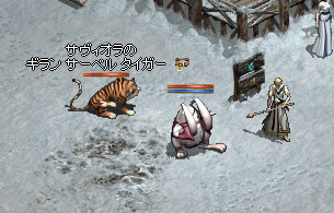 3.bmp