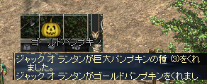 3.bmp